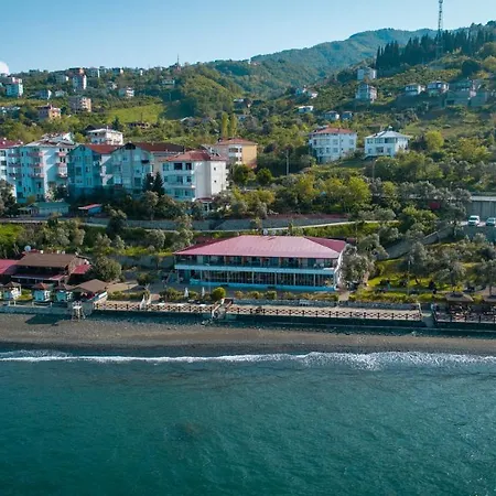 Pasha باشا Hotel *