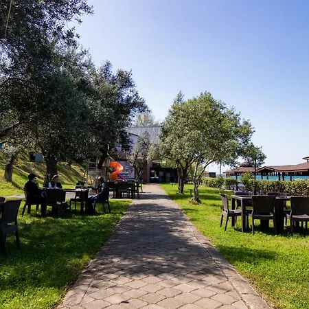 Pasha باشا * Trabzon