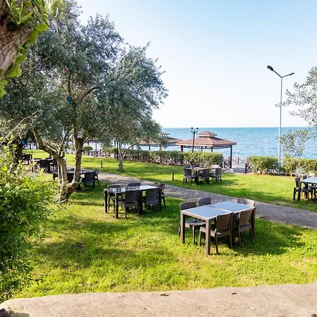 Pasha باشا Hotell