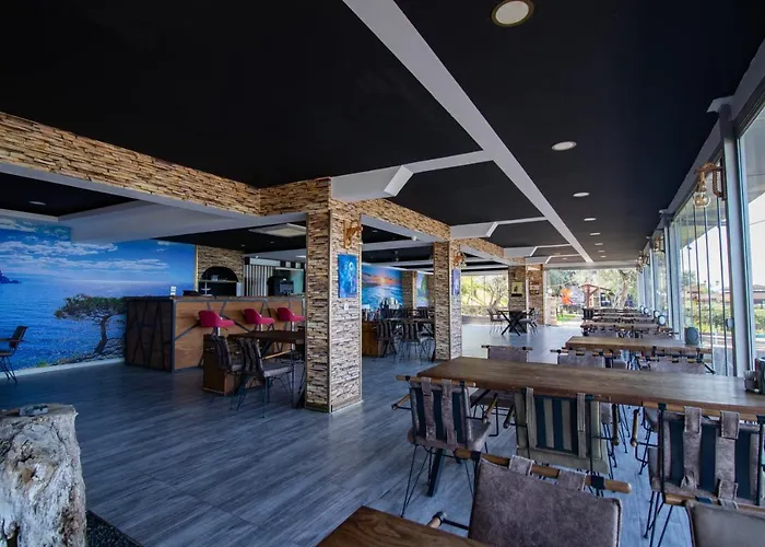 Pasha باشا 特拉布宗