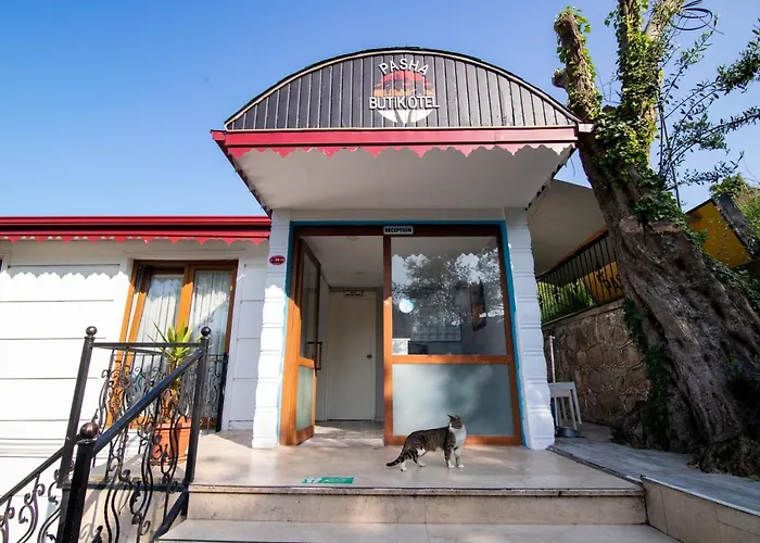 酒店 Pasha باشا