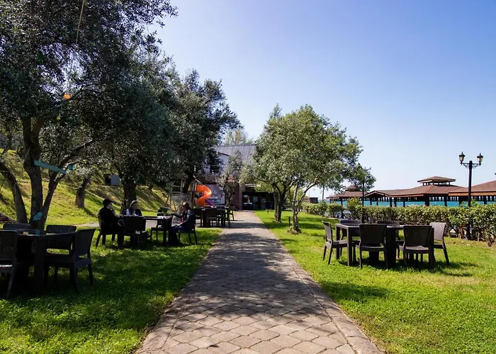 Pasha باشا * 特拉布宗