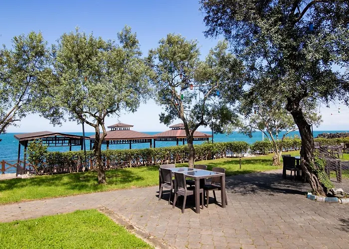 Pasha باشا 酒店 *