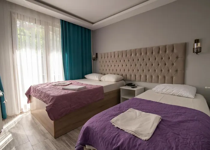 Pasha باشا 特拉布宗