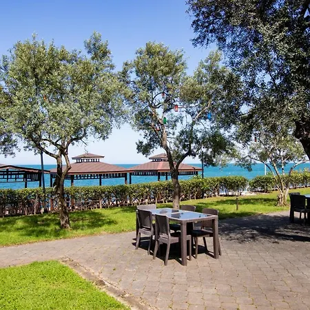 Pasha باشا Hotel *