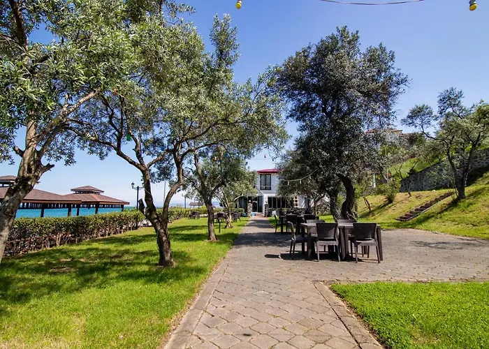 Hotell Pasha باشا