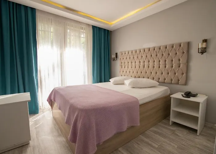 Pasha باشا Hotell